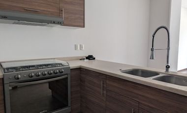 DEPARTAMENTO EN RENTA EN NUEVO SUR