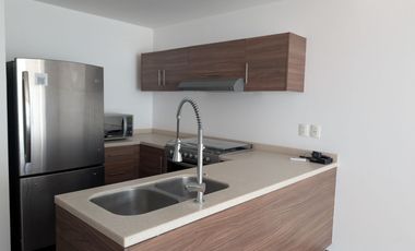 DEPARTAMENTO EN RENTA EN NUEVO SUR