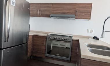 DEPARTAMENTO EN RENTA EN NUEVO SUR