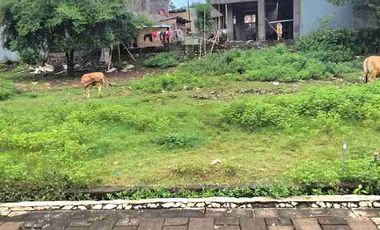 Tanah Luas 183m² Zona Kuning & Hak Milik Lokasi Jl  Tulip Ungasan area Investasi strategis.