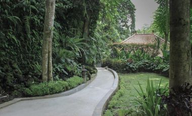 Resort Murah Tegallalang Ubud Gianyar
