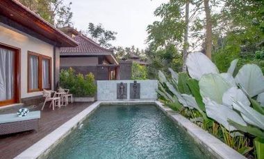 Resort Murah Tegallalang Ubud Gianyar