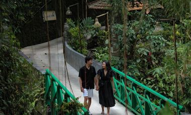 Resort Murah Tegallalang Ubud Gianyar