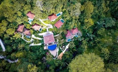 Resort Murah Tegallalang Ubud Gianyar