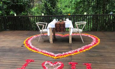 Resort Murah Tegallalang Ubud Gianyar