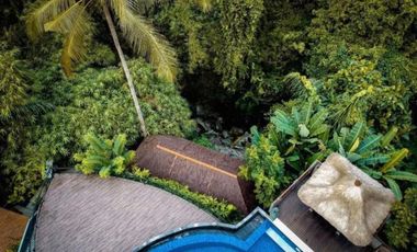 Resort Murah Tegallalang Ubud Gianyar