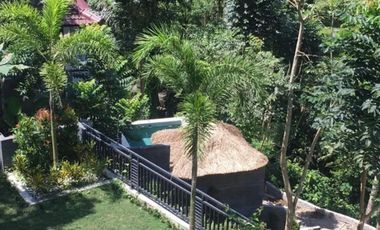 Resort Murah Tegallalang Ubud Gianyar