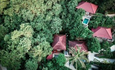 Resort Murah Tegallalang Ubud Gianyar