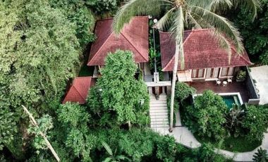 Resort Murah Tegallalang Ubud Gianyar