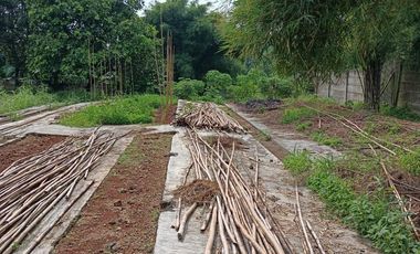 Dijual Kavling Komersil Strategis Hadap Jalan Raya Utama di Puspitek Serpong Tangerang Selatan