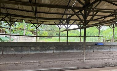 Dijual Kavling Komersil Strategis Hadap Jalan Raya Utama di Puspitek Serpong Tangerang Selatan