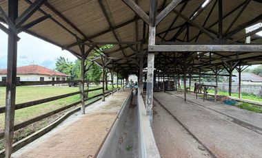 Dijual Kavling Komersil Strategis Hadap Jalan Raya Utama di Puspitek Serpong Tangerang Selatan