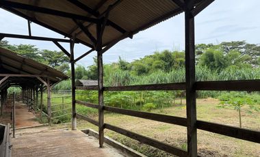 Dijual Kavling Komersil Strategis Hadap Jalan Raya Utama di Puspitek Serpong Tangerang Selatan