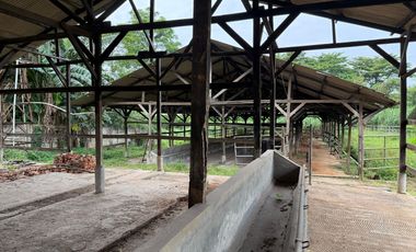 Dijual Kavling Komersil Strategis Hadap Jalan Raya Utama di Puspitek Serpong Tangerang Selatan