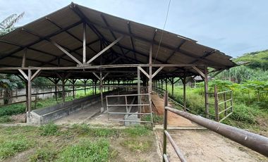 Dijual Kavling Komersil Strategis Hadap Jalan Raya Utama di Puspitek Serpong Tangerang Selatan