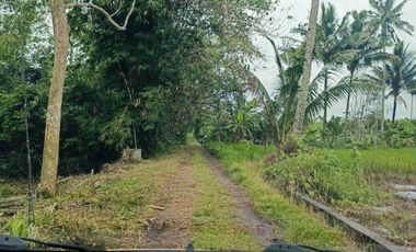 Tanah Murah SHM Pekarangan View Gunung Merapi Sumberan Pakem