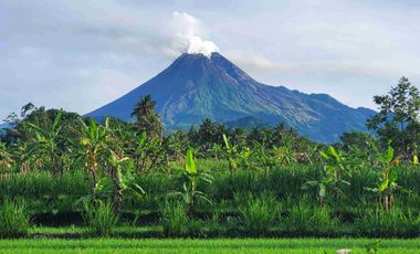 Tanah Murah SHM Pekarangan View Gunung Merapi Sumberan Pakem