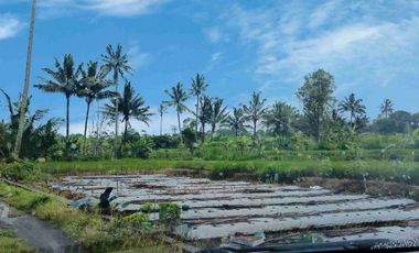 Tanah Murah SHM Pekarangan View Gunung Merapi Sumberan Pakem