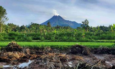 Tanah Murah SHM Pekarangan View Gunung Merapi Sumberan Pakem