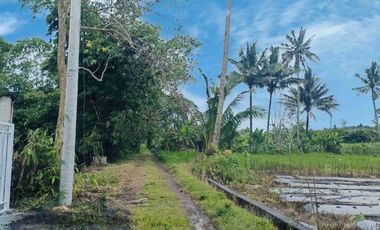Tanah Murah SHM Pekarangan View Gunung Merapi Sumberan Pakem