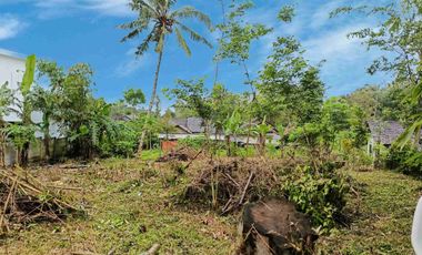 Tanah Murah SHM Pekarangan View Gunung Merapi Sumberan Pakem