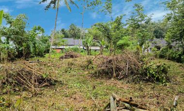 Tanah Murah SHM Pekarangan View Gunung Merapi Sumberan Pakem