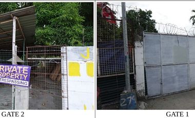 Commercial lot for sale in National Highway, Barangay Minante 2, Cauayan City, Isabela