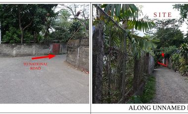 Commercial lot for sale in National Highway, Barangay Minante 2, Cauayan City, Isabela