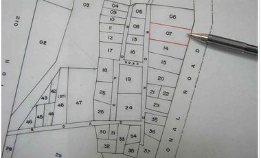 Commercial lot for sale in National Highway, Barangay Minante 2, Cauayan City, Isabela