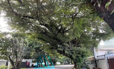 San Lorenzo Village Makati Duplexes for Sale