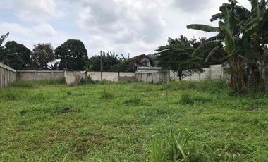 Jual Tanah Cikeas Udik Bogor Lokasi Strategis 1 Hektar