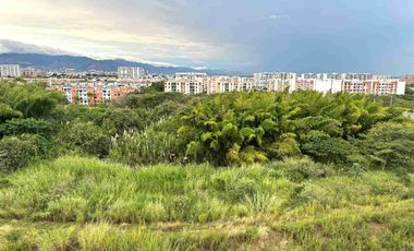 Arriendo Apartamento Amoblado