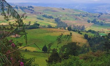 Finca en venta, Ubicada en Soracá; Boyacá.