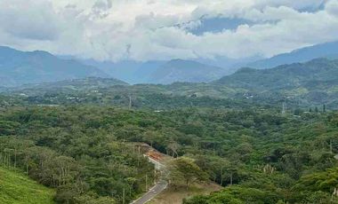 Alquilo Apartamento Amoblado