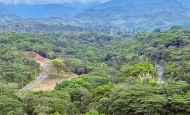 Alquilo Apartamento Amoblado