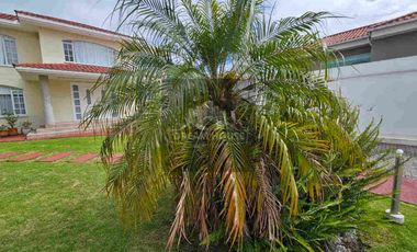 Renta de Casa, 4 dormitorios, Sector Colegio Menor, Cumbayá, Ecuador