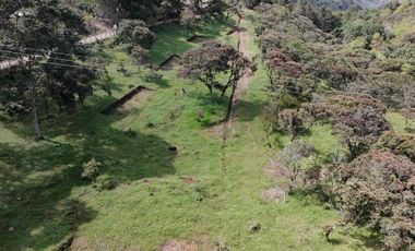 Lotes con 5 años de financiacion desde 80 millones en casabuy chachagüi Nariño
