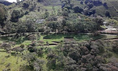 Lotes con 5 años de financiacion desde 80 millones en casabuy chachagüi Nariño