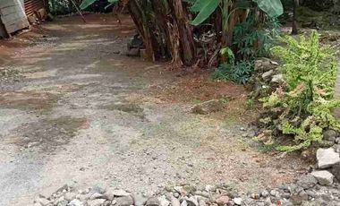 Tanah dijual di Desa Karangnanas Kecamatan Sokaraja, Sokaraja, Banyumas, Jawa Tengah
