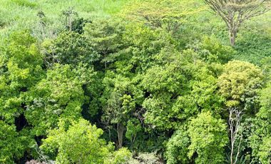 Majestuoso apartamento en Ivory con 126 m2 , 3 alcobas y vista a las montañas. Cerritos. Pereira.