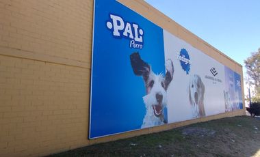 LOCAL AAA+ RENTA BLVD FORJADORES PZA SAN DIEGO SAN PEDRO CHOLULA