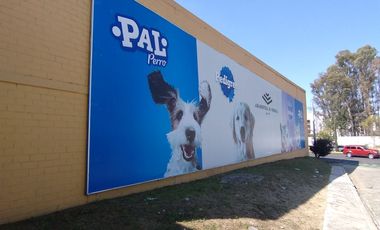 LOCAL AAA+ RENTA BLVD FORJADORES PZA SAN DIEGO SAN PEDRO CHOLULA