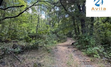 CURARREHUE sector Caren parcelas desde 5.000m2 con servidumbre a río Trancura COD.VTAP262