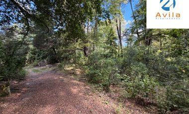 CURARREHUE sector Caren parcelas desde 5.000m2 con servidumbre a río Trancura COD.VTAP262