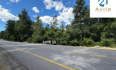 CURARREHUE sector Caren parcelas desde 5.000m2 con servidumbre a río Trancura COD.VTAP262