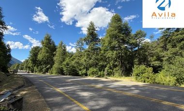 CURARREHUE sector Caren parcelas desde 5.000m2 con servidumbre a río Trancura COD.VTAP262