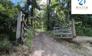 CURARREHUE sector Caren parcelas desde 5.000m2 con servidumbre a río Trancura COD.VTAP262