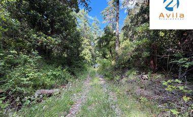 CURARREHUE sector Caren parcelas desde 5.000m2 con servidumbre a río Trancura COD.VTAP262