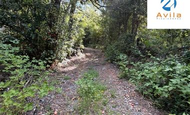 CURARREHUE sector Caren parcelas desde 5.000m2 con servidumbre a río Trancura COD.VTAP262