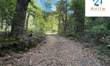 CURARREHUE sector Caren parcelas desde 5.000m2 con servidumbre a río Trancura COD.VTAP262